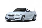 BMW 220i Luxury (Automata) 